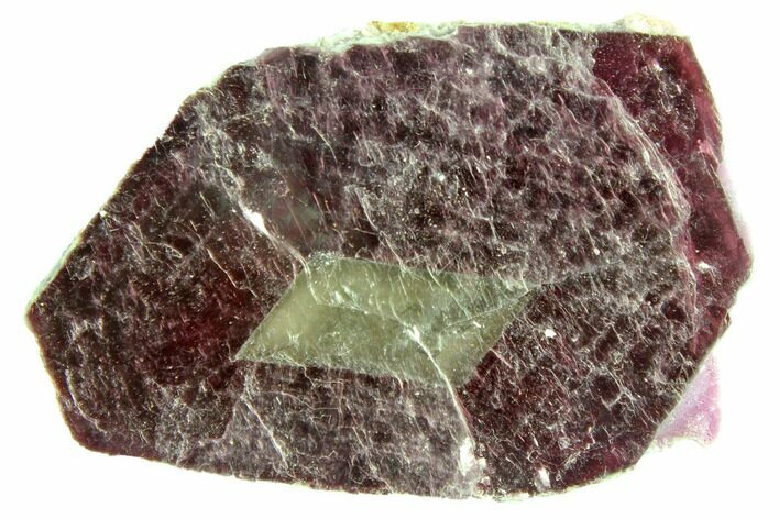 Bicolored Lepidolite Formation - Brazil #150349
